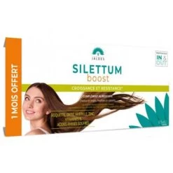 Silettum Boost Lot De 3x60 Gélules
